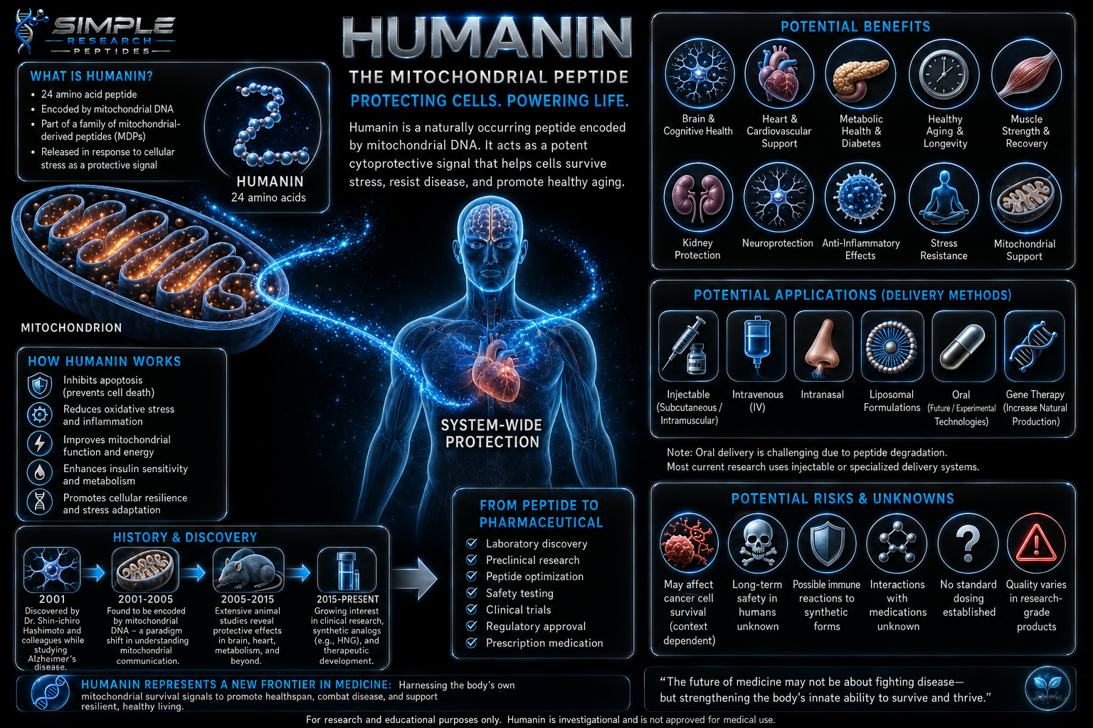 Humanin mitochondrial peptide research infographic