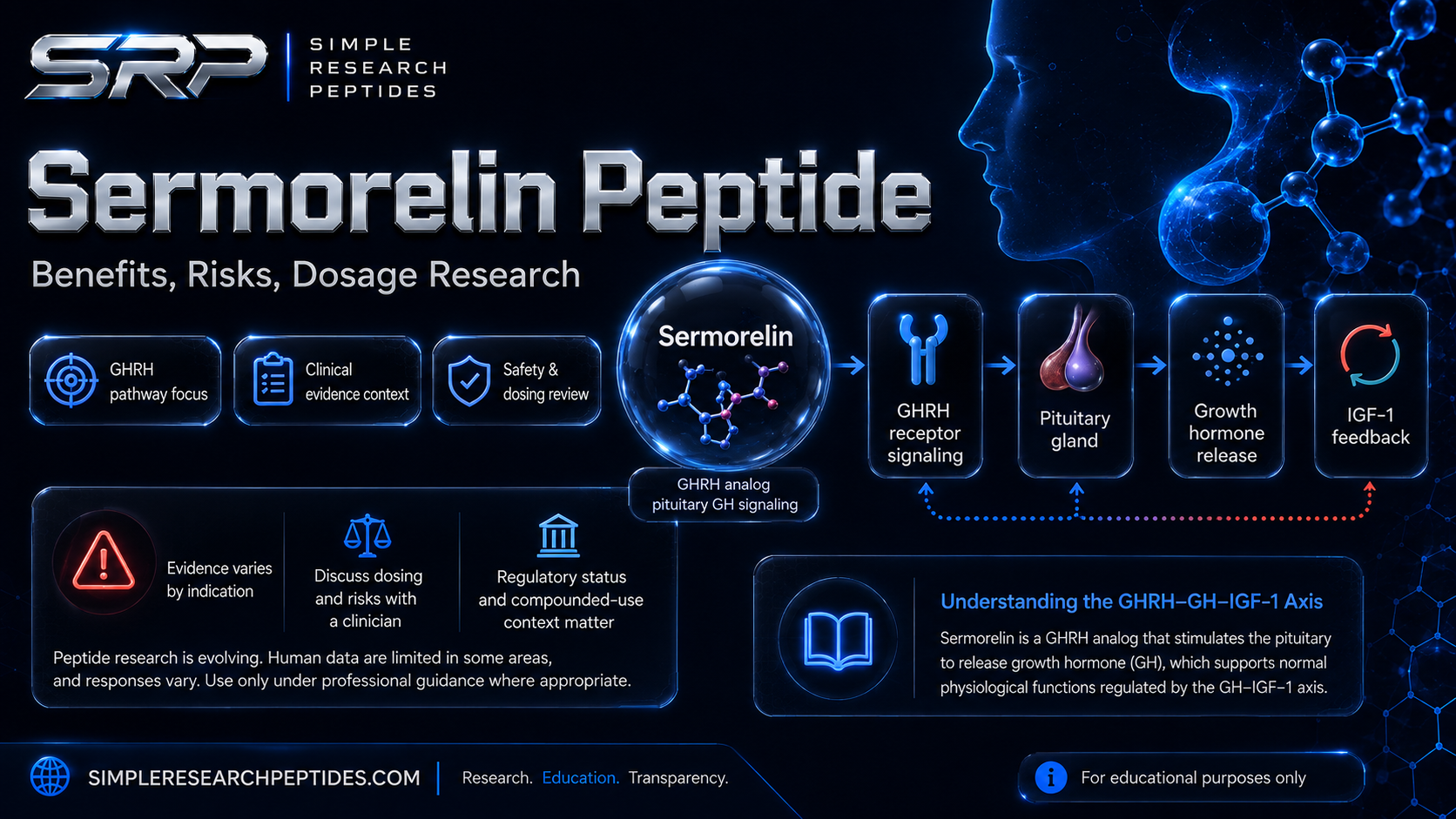 Sermorelin research graphic: GHRH pathway, benefits, risks