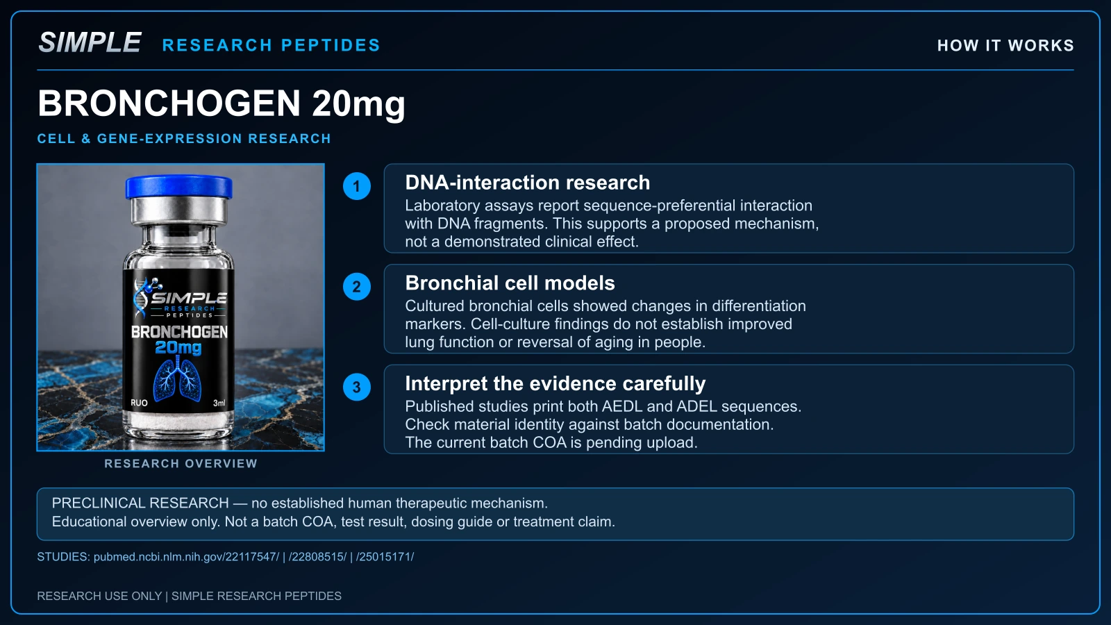 Bronchogen 20mg preclinical research overview: DNA interactions, bronchial cell models and evidence limitations