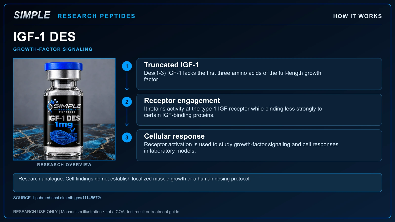 SRP igf1-des research overview; educational mechanism illustration, not a batch COA