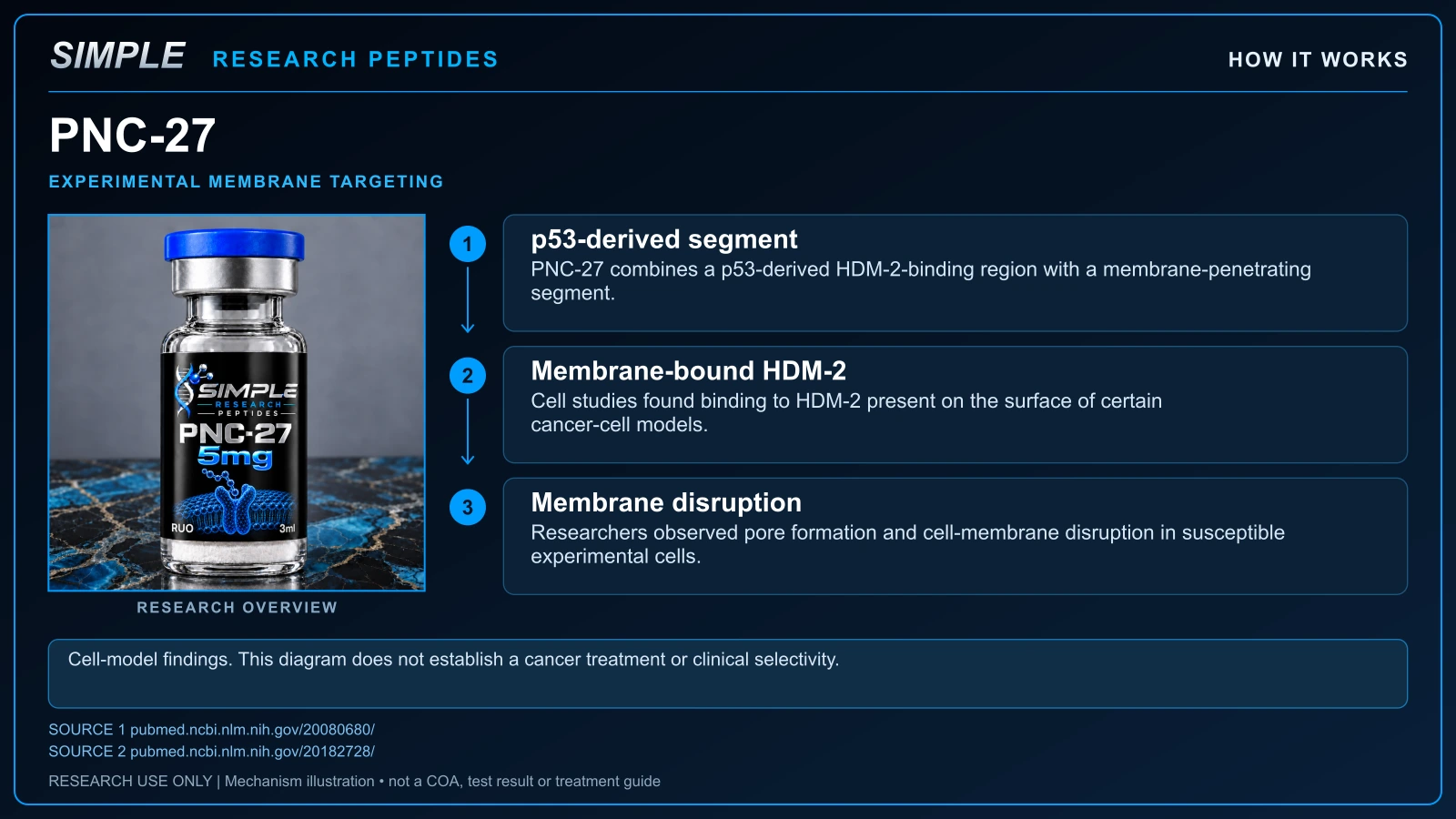 SRP pnc-27 research overview; educational mechanism illustration, not a batch COA