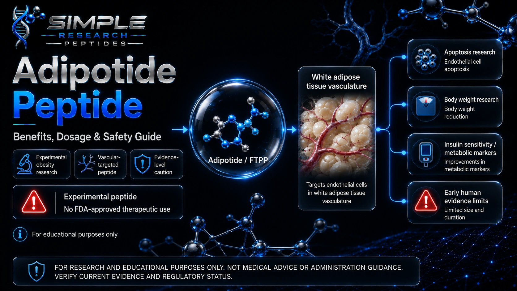 Supplied Adipotide FTPP educational diagram of white adipose tissue vasculature and preclinical research topics; not batch testing results