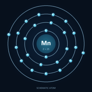 Manganese: Schematic atom, not to scale; dietary forms differ.