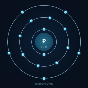 Phosphorus: Schematic atom, not to scale; dietary forms differ.