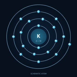 Potassium: Schematic atom, not to scale; dietary forms differ.