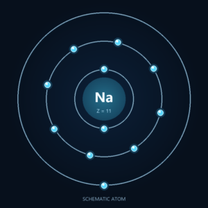 Sodium: Schematic atom, not to scale; dietary forms differ.